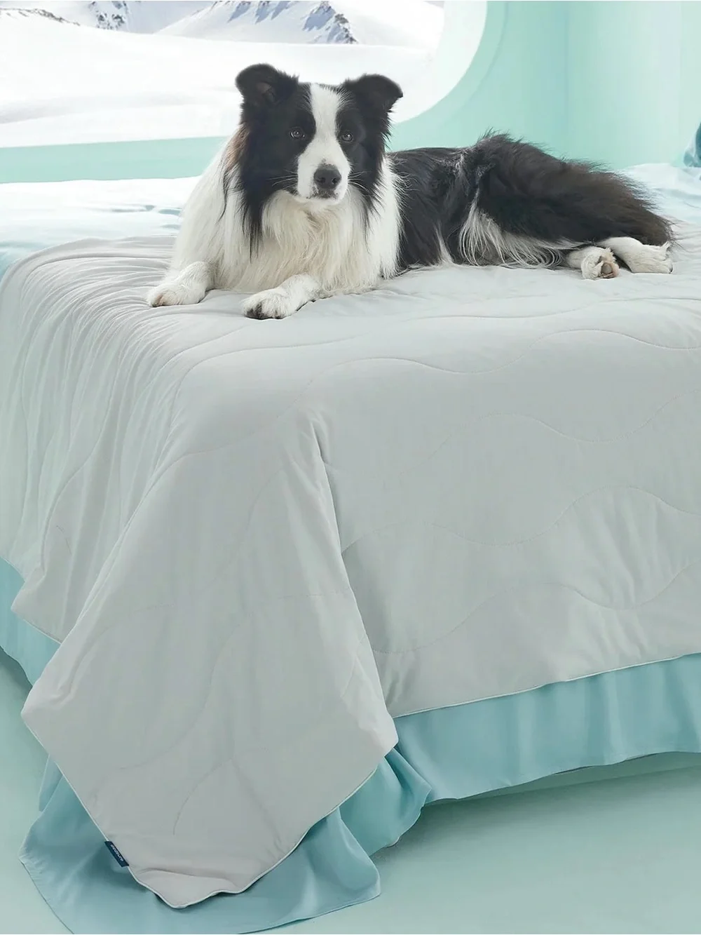 BEDSURE SUPER FRESH COOLING  LARGE PET BLANKETS!